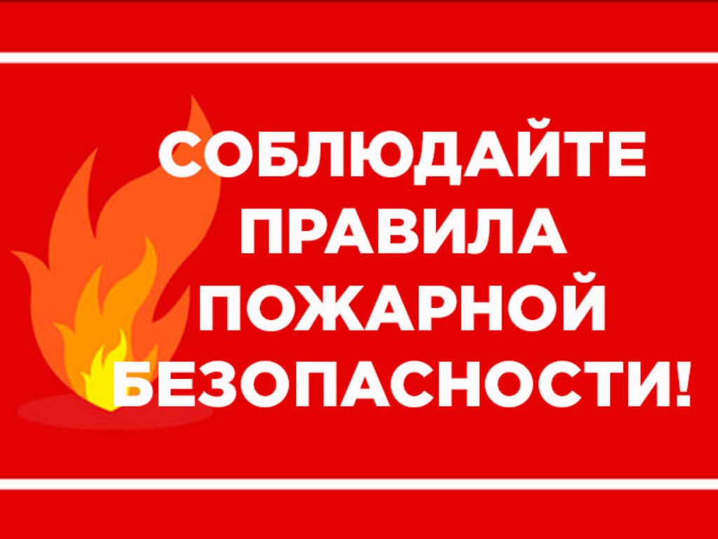 Вводятся требования пожарной безопасности по размещению оборудования для  приготовления пищи на открытом огне (мангалов) в помещениях кафе и  ресторанов | Уполномоченный при Губернаторе Архангельской области по защите  прав предпринимателей Иван ...